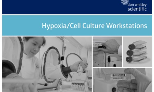 阿莫西林胶囊危害-【阿莫西林胶囊有副作用吗】阿莫西林胶囊安全性 - 阿莫西林胶囊有毒网